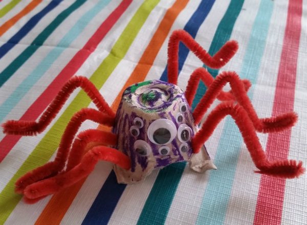 spider05