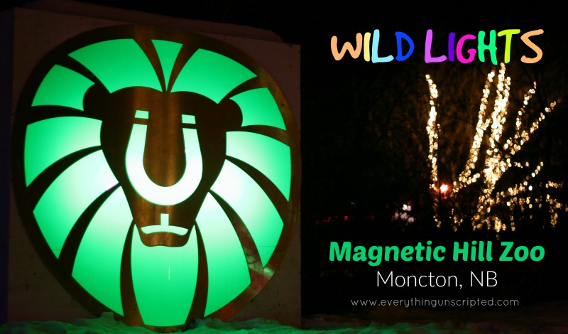 Wild Lights at the Magnetic Hill Zoo